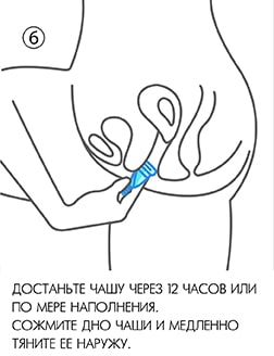 Введение