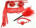 Набор для БДСМ игр Mini Set Light, Red