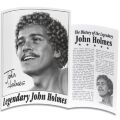 Фаллоимитатор гигант Doc Johnson John Holmes, 25х6,5 см