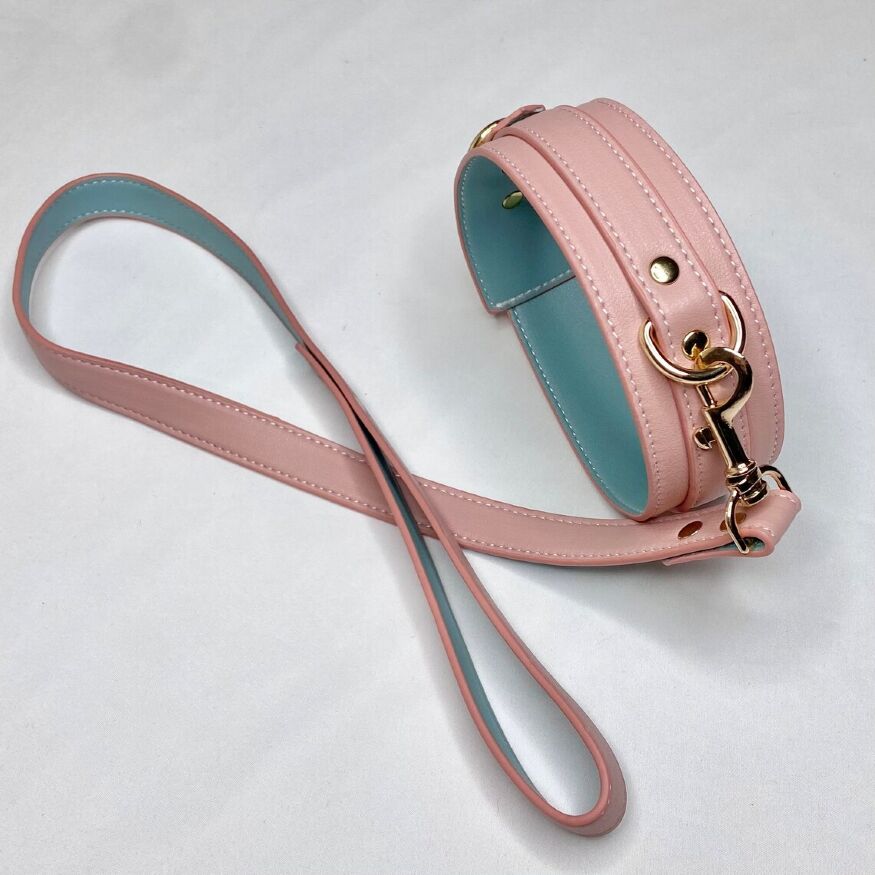 Ошейник с поводком DS Fetish Collar with leash pink