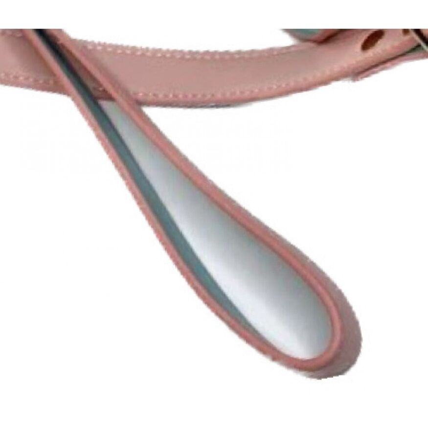 Ошейник с поводком DS Fetish Collar with leash pink