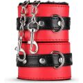 68137 / LBX406 Набор БДСМ Secret Pleasure Chest Red Dragon