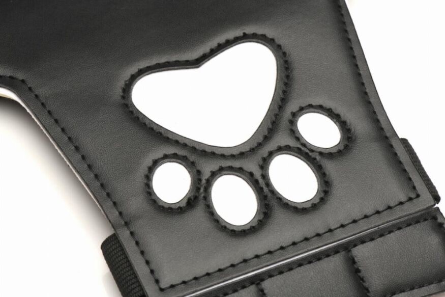 Набор BDSM щенка Master Series Luxury Pup Arsenal Set - Black