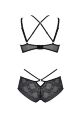 Комплект Passion DROSERA BIKINI black, S/M, бюстгальтер и трусики-кюлоты