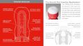Мастурбатор - Tenga Original Vacuum Cup