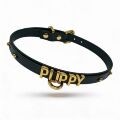 Чокер с надписью PUPPY от UPKO из итальянской кожи, чёрный с золотой фурнитурой