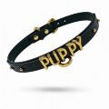 Чокер с надписью PUPPY от UPKO из итальянской кожи, чёрный с золотой фурнитурой
