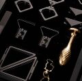 Чемодан БДСМ 14 предметов LOCKINK Черный