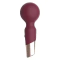 Адвент-календар Dream Toys Pleasure Box, красный, 24 предмета