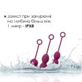 Набор вагинальных шариков Svakom Nova Violet