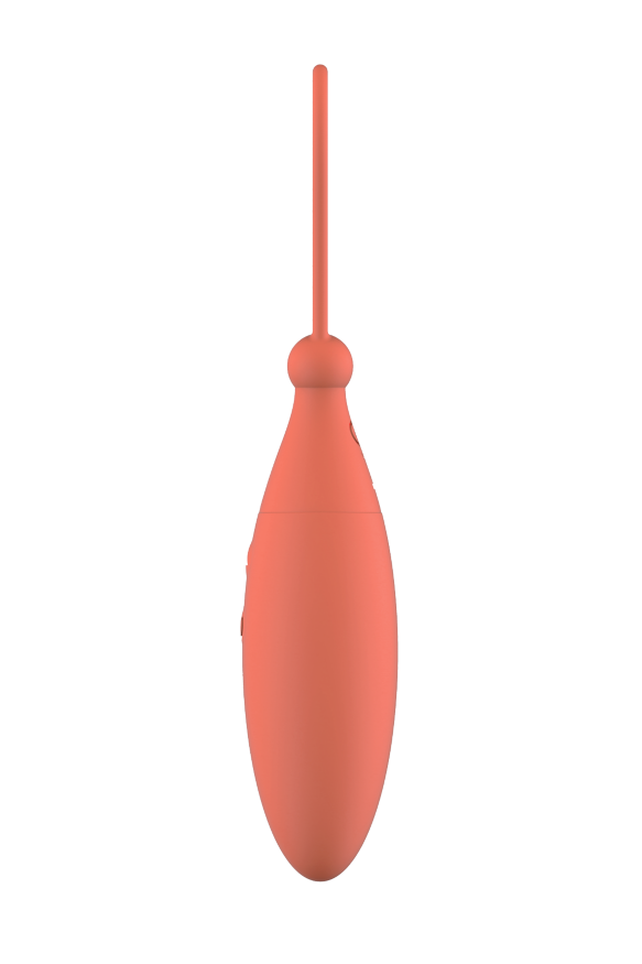 DT21805 Виброяйцо с дистанционным управлением Dream Toys CHARISMATIC CELIA