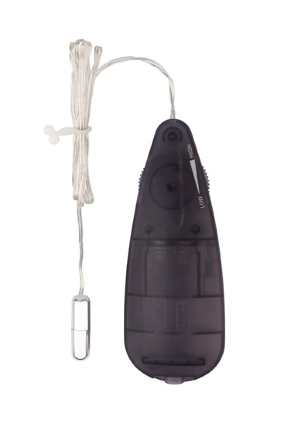 Віброкулька Chisa Hi-Basic Mini Bullet з пультом керування, срібляста