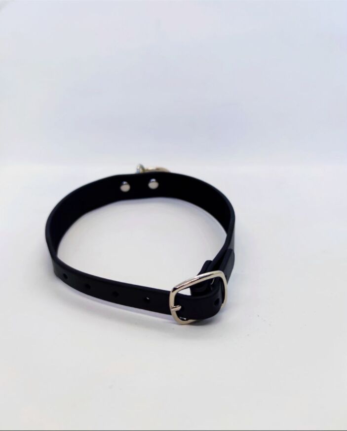 Ошейник с кольцом Collar black with ring