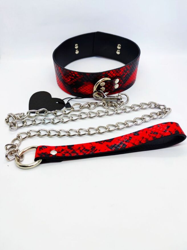 Ошейник с поводком Collar black/red with leash