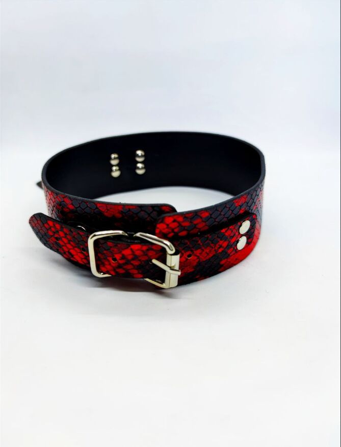 Ошейник с поводком Collar black/red with leash