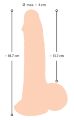 Член з рухомою шкірою Nature Skin Dildo With Movable Skin