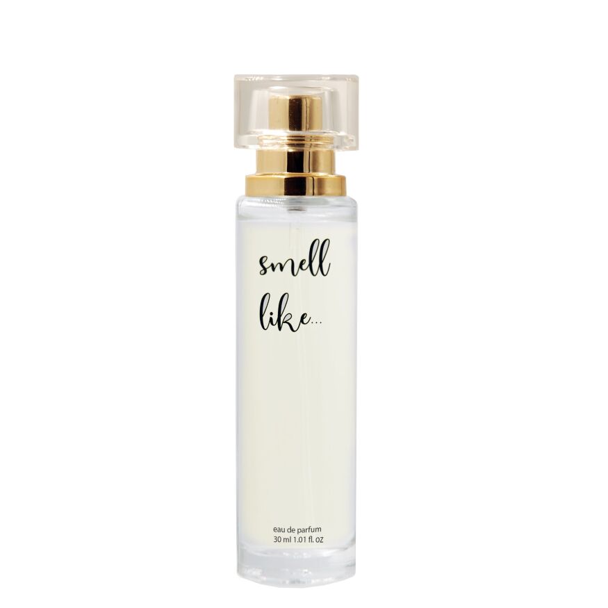 Парфумерна вода з феромонами для жінок Smell Like # 06 for Women, 30 ml