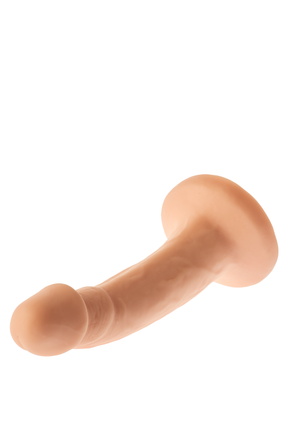 Гибкий фаллоимитатор Dream Toys MR. DIXX TROUBLE TONY 7.1INCH DONG