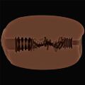 Мастурбатор - Slider Double-Ended Masturbator Vagina and Anus Brown