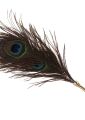 Перо Павлина Peacock Tickler Taboom
