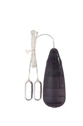 Вібропулі сріблясті Chisa Hi-Basic Double Play Bullets Vibrator з чорним пультом управління