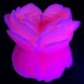 Cвiчка люмінісцентна низькотемпературна GlowKink рожева, М