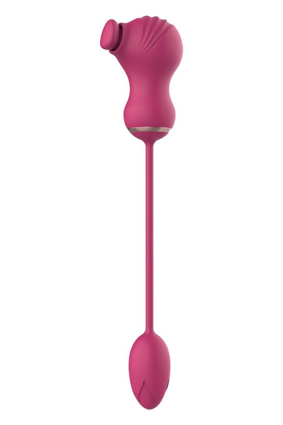 Гибкий двойной стимулятор и вибрационное яйцо Dream Toys Essentials, розовый