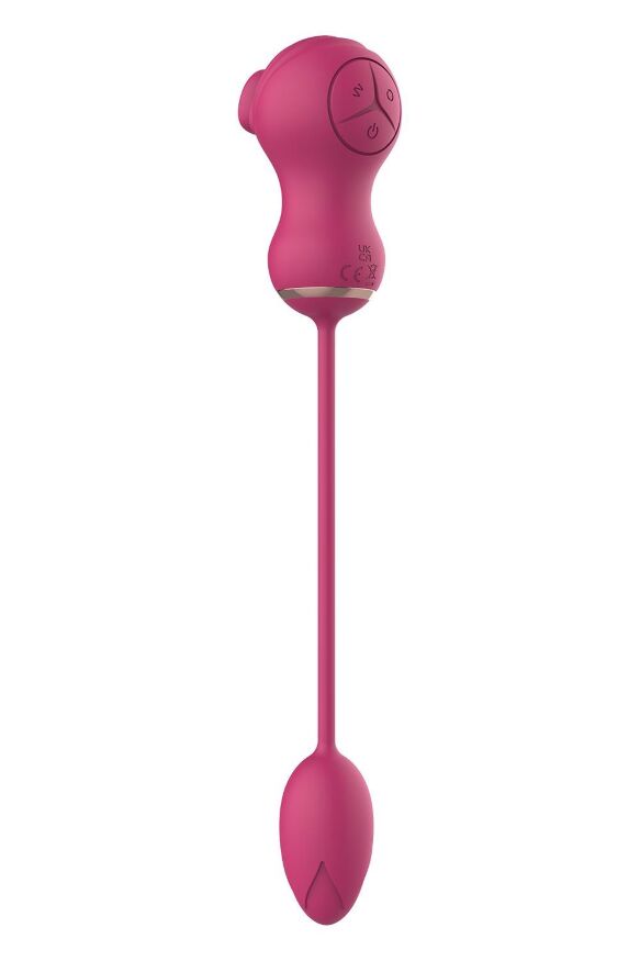 Гибкий двойной стимулятор и вибрационное яйцо Dream Toys Essentials, розовый