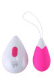 DT21839 Виброяйцо с беспроводным управлением Dream Toys ALL TIME FAVORITES 10F REMOTE EGG