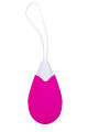 DT21839 Виброяйцо с беспроводным управлением Dream Toys ALL TIME FAVORITES 10F REMOTE EGG