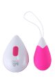DT21839 Виброяйцо с беспроводным управлением Dream Toys ALL TIME FAVORITES 10F REMOTE EGG