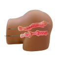 Мастурбатор 2 в 1- Crazy Bull Gretana Full-Size Realistic Masturbator