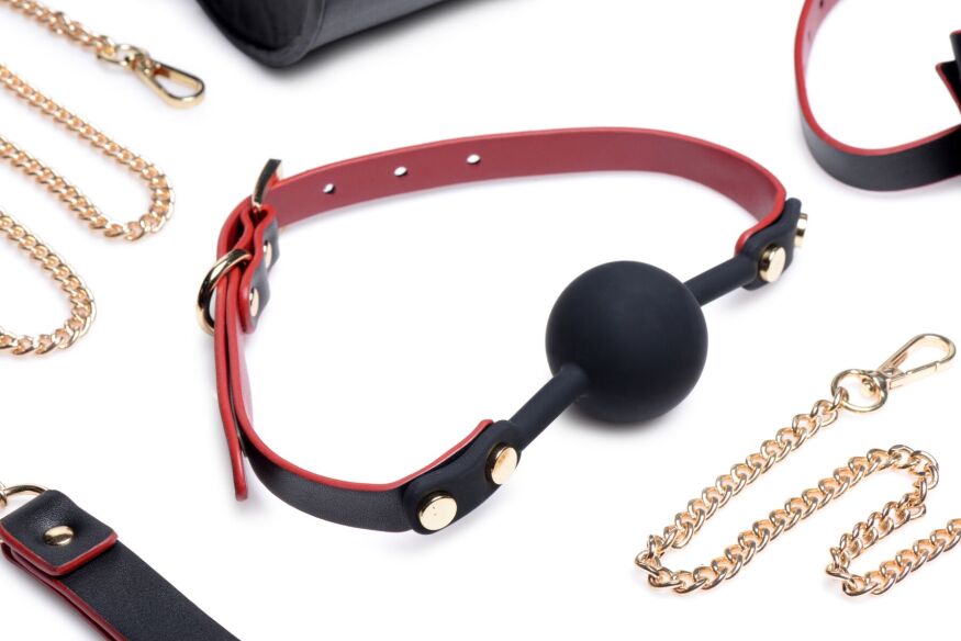 Набір БДСМ з дорожньою сумкою Master Series: Bow  -  Luxury BDSM Set With Travel Bag, 11 предметів