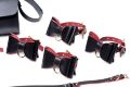 Набір БДСМ з дорожньою сумкою Master Series: Bow  -  Luxury BDSM Set With Travel Bag, 11 предметів