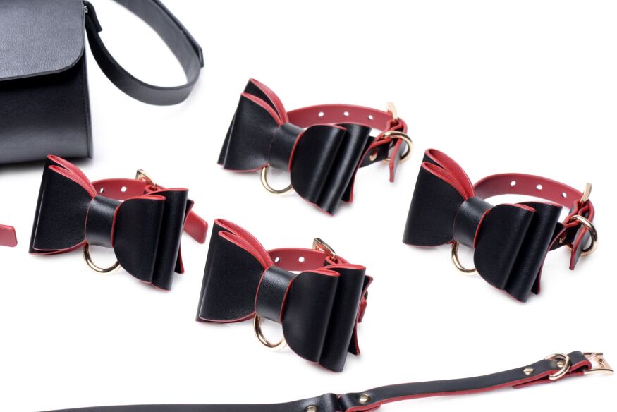 Набір БДСМ з дорожньою сумкою Master Series: Bow  -  Luxury BDSM Set With Travel Bag, 11 предметів