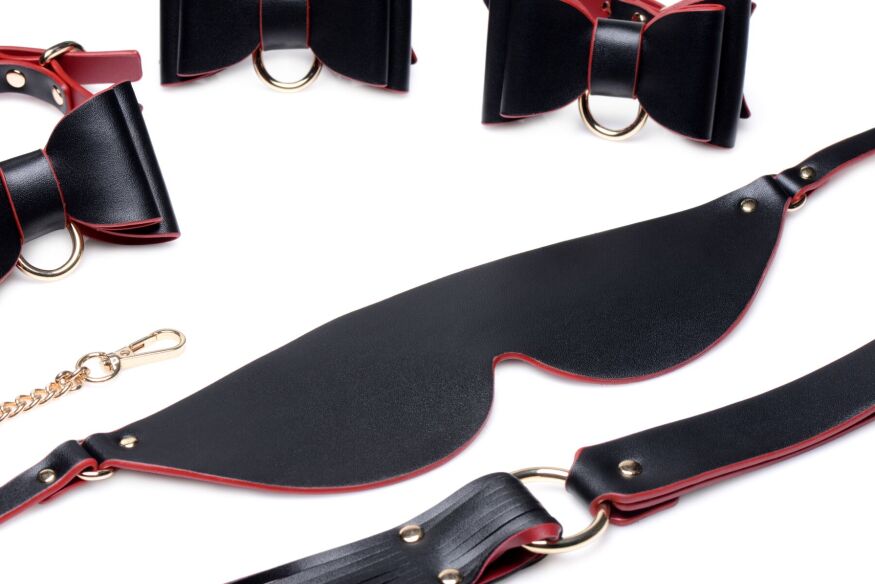 Набір БДСМ з дорожньою сумкою Master Series: Bow  -  Luxury BDSM Set With Travel Bag, 11 предметів
