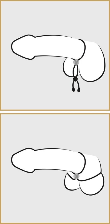 Эрекционное лассо Bad Kitty cock &amp; ball loop, черное
