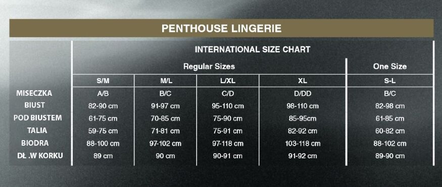 Сексуальна сукня довга напівпрозора Penthouse блискуча, чорна, S-L