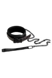 Нашийник з повідцем BLAZE COLLAR AND LEASH PURPLE