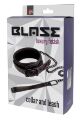 Нашийник з повідцем BLAZE COLLAR AND LEASH PURPLE