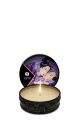 Свеча для массажа MASSAGE CANDLE EXOTIC FRUITS, 30 мл