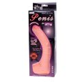 Фаллоимитатор на присоске "Penis" BW-008037N