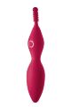 Вибратор для клитора с насадками Dream Toys SPARKLING VERONA