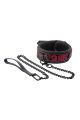 Нашийник з повідцем BLAZE DELUXE COLLAR