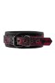 Нашийник з повідцем BLAZE DELUXE COLLAR