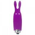 Минивибратор Adrien Lastic Pocket Vibe Rabbit Purple