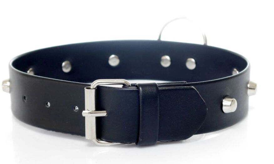 Нашийник зі штучної шкіри з шипами Fetish Boss Series - Collar with studs, BS3300097