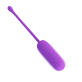 Виброяйцо - Pretty Love Joyce Vibrating Egg Purple