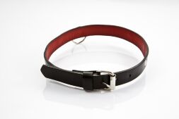 Нашийник - Classic Collar For Her