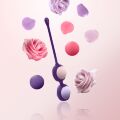 Вагинальные шарики 4шт Rianne S Pussy Playballs Purple ROSE